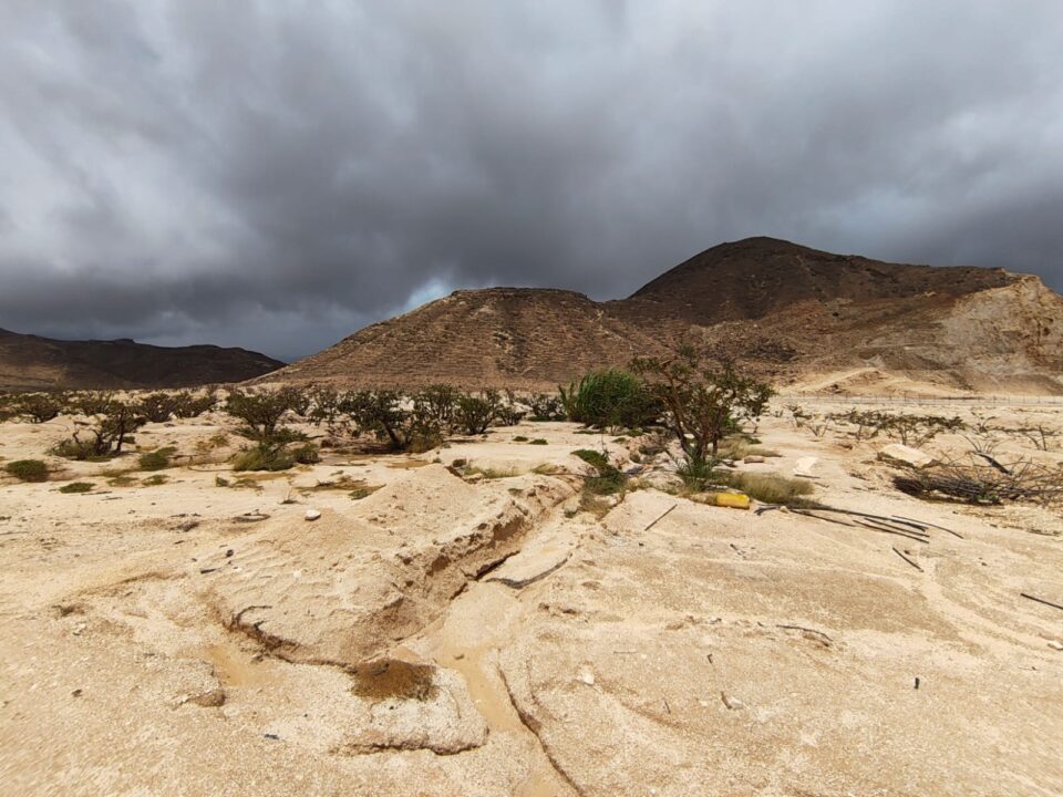 Dhofar Limestone. - Dhofar Lime Stone